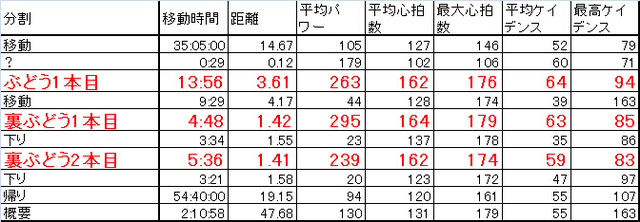 3ぶどう.jpg